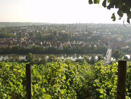 Blick von den Benninger Weinbergen